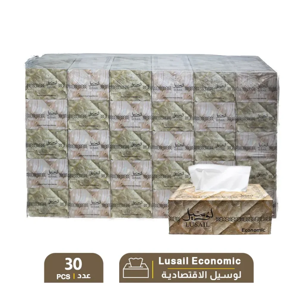 Lusail-Economic-Facial-Tissue-–-1-Pack-X-30-PCS.webp